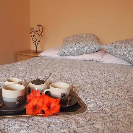 Homestay Goscinne U Anki